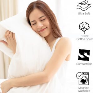 Maples Feather Pillows, Unveil a Symphony of Unrivaled Softness and Support for Your Ultimate Sleep Sanctuary - Image 4