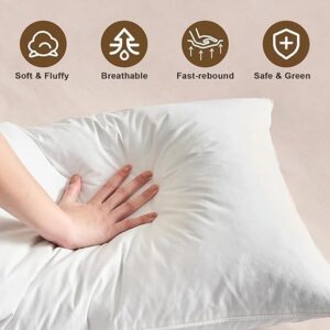 Maples Feather Pillows, Unveil a Symphony of Unrivaled Softness and Support for Your Ultimate Sleep Sanctuary - Image 3