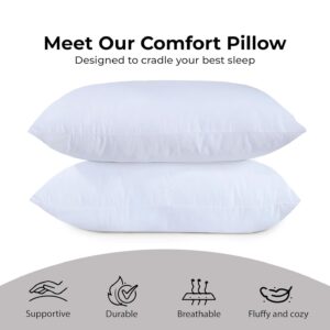 Maples Hollow Fiber Pillows, Redefining Your Sleep with Unrivaled Softness and Support - Image 2
