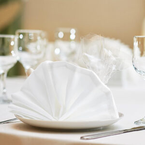Maples Plain White Napkin - 100% Cotton in Array of Sizes to Elevate Your Dining Experience. - Image 6