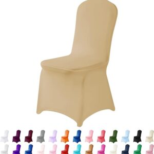 Maples Spandex Fitted Chair Covers - Unveil a Spectrum of Stylish Shades & Customization. - Image 27