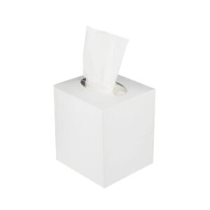 Maples Facial Tissue Square Box - 2 Ply, 100 Sheets per Box, Pack of 48 in white Color - Soft and Durable Facial Tissue for Everyday Use. - Image 1