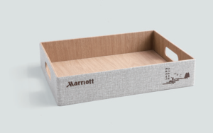Storage Tray