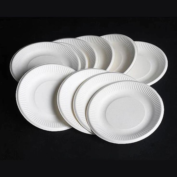 Premium disposable plates for hotels, restaurants, and events